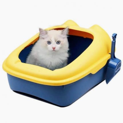 Litter Box